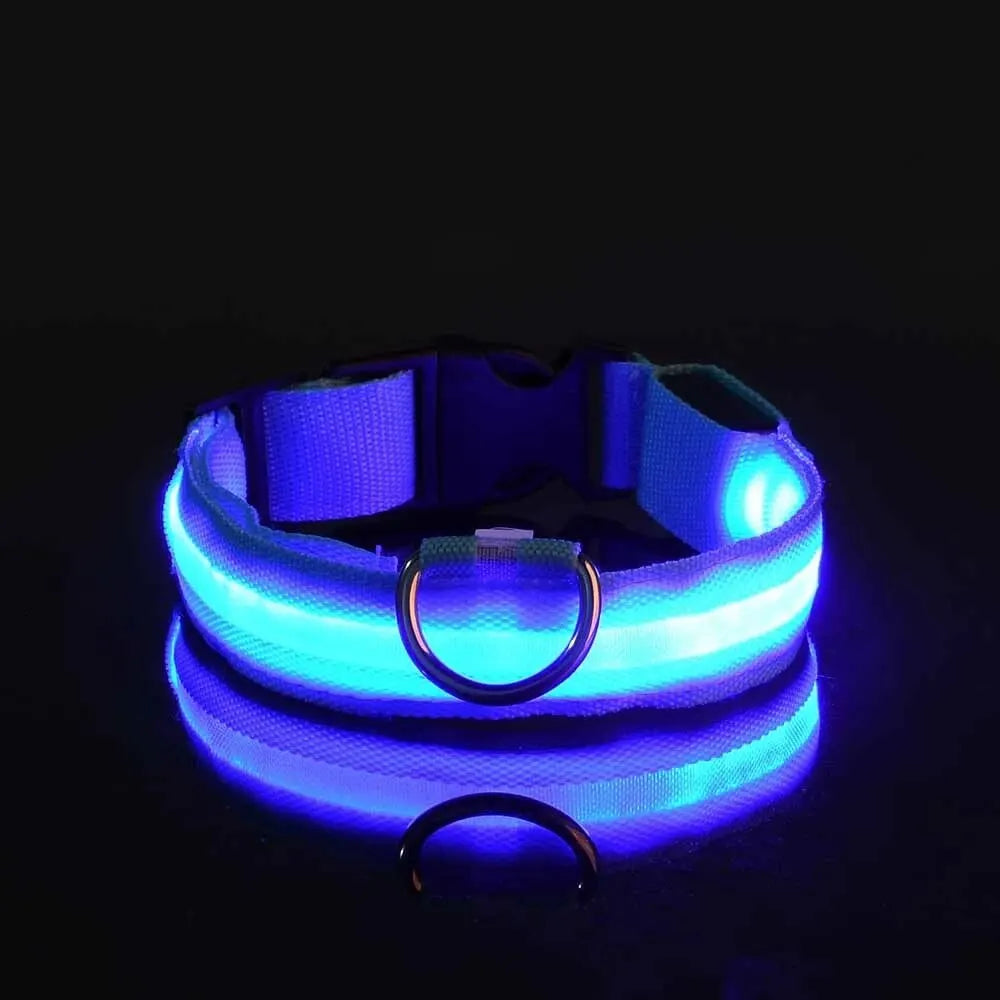 LED Glow Dog Leash and Collar